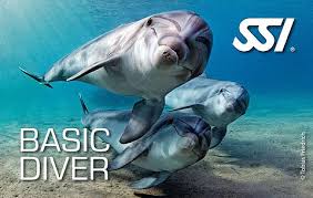 ssi-basic-diver