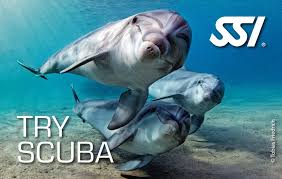 ssi-try-scuba